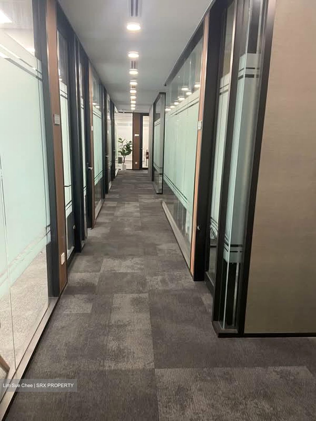 Singapore Land Tower (D1), Office #571662121